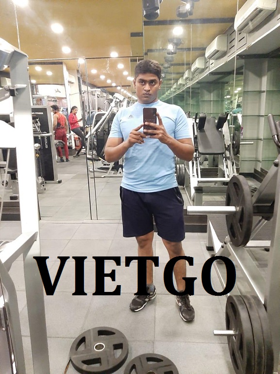 vietgo-palletgo